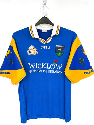 1999 wicklow gaa - wicklow,