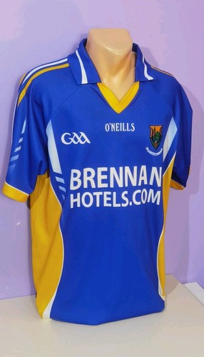 Wicklow 2010 gaa jersey - 2010/13,