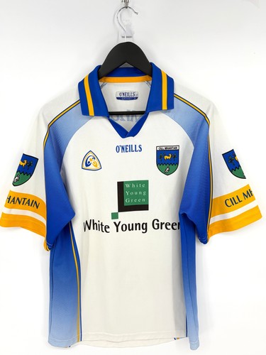 2004 wicklow gaa - 2004/06,